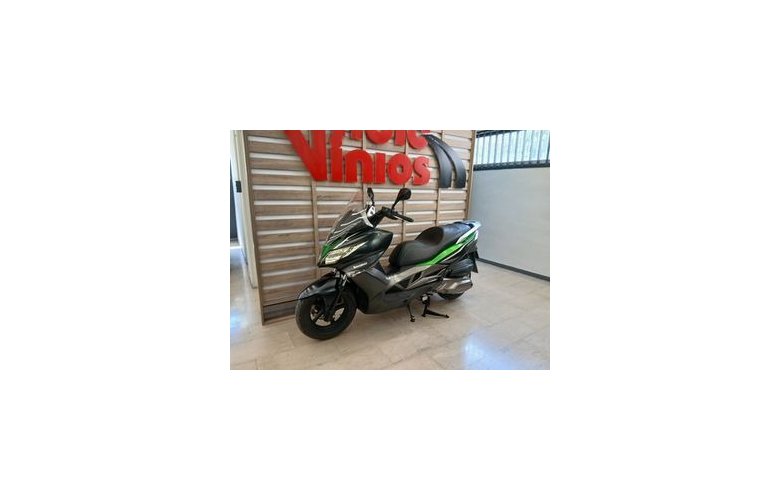 Kawasaki J 300 2015