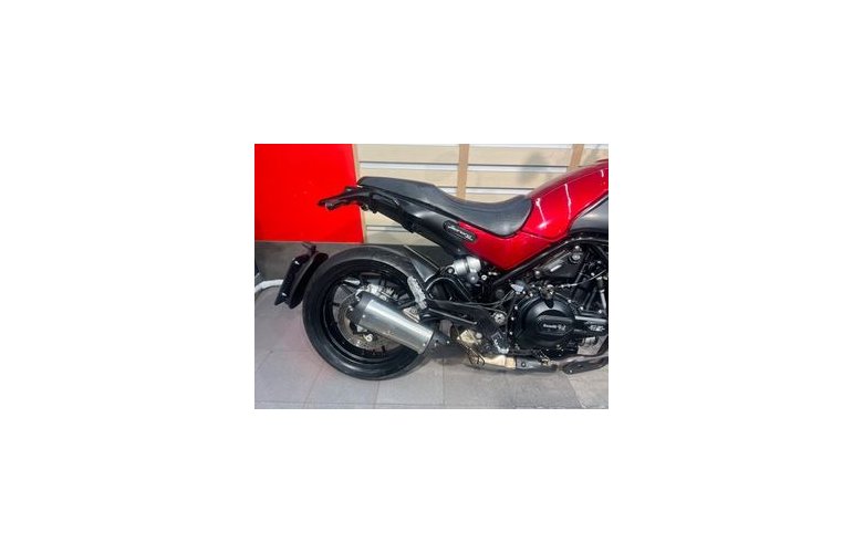 Benelli LEONCINO 2020