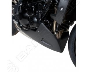 ΠΡΟΣΤΑΣΙΑ ΚΙΝΗΤΗΡΑ BARRACUDA ΓΙΑ Triumph Speed Triple '11