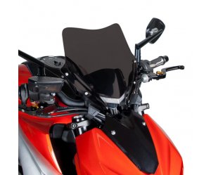 Ζελατίνα Aerosport Barracuda για Kawasaki Z 1000 (2014-2021)