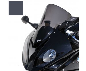 Ζελατίνα ERMAX BMW S 1000 RR Aeromax 2015-2018