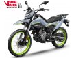 CF MOTO DUAL 250