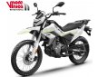CF MOTO DUAL 250