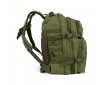 ΣΑΚΙΔΙΟ ΠΛΑΤΗΣ AGVPRO TACTICAL 45L GREEN