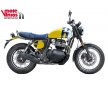 ROYAL ENFIELD BEAR 650 WILD HONEY