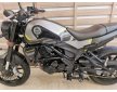 BENELLI LEONCINO250 2022