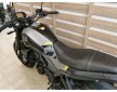 BENELLI LEONCINO250 2022