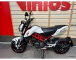 Benelli TNT 2019