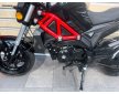 Daytona Hobby 125 2024