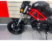Daytona Hobby 125 2024