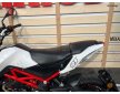 Benelli TNT 2019