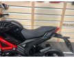 Daytona Hobby 125 2024