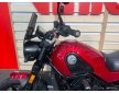 Benelli LEONCINO 2020