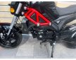 Daytona Hobby 125 2024