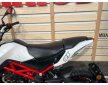 Benelli TNT 2019
