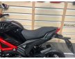 Daytona Hobby 125 2024