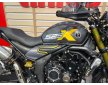 Voge AC525X 2024