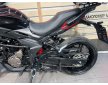 VOGE DS300 '24