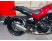 Benelli LEONCINO 2020